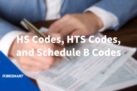 Define HS HTS Schedule B Codes