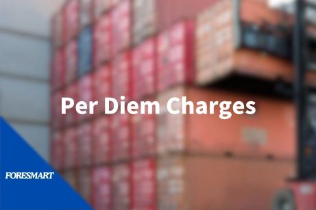 per diem charges