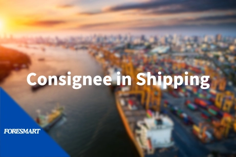 cargo reveiver consignee in shipping