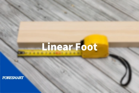 linear foot length