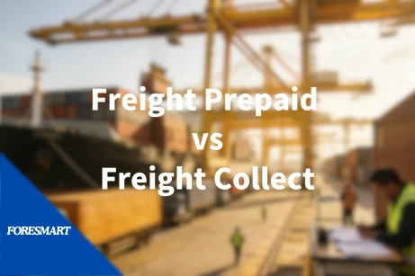 freight prepaid freight collect payment terms